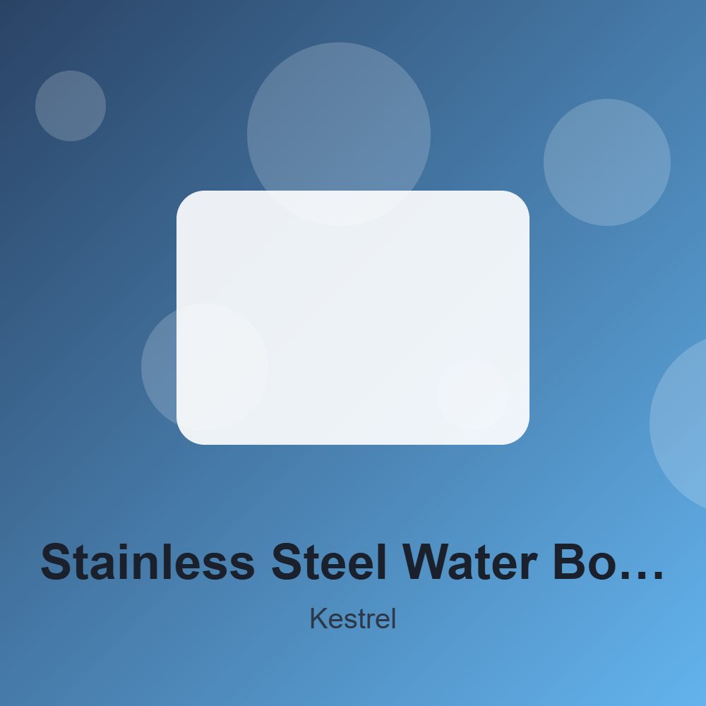 Stainless Steel Water Bottle