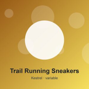 Trail Running Sneakers